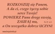 Magnes 41 na lodówkę- Rozkoszuj się Panem, A da ci. Wydawca: Bogulandia. Dadada.pl Opakowanie Magnes 41 na lodówkę- Rozkoszuj się Panem, A da ci