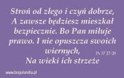 Magnes 43 na lodówkę -Stroń od złego i czyń dobrze. Wydawca: Bogulandia. Dadada.pl Opakowanie Magnes 43 na lodówkę -Stroń od złego i czyń dobrze