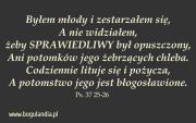 Magnes 44 na lodówkę - Byłem młody i zestarzałem... Wydawca: Bogulandia. Dadada.pl Opakowanie Magnes 44 na lodówkę - Byłem młody i zestarzałem..