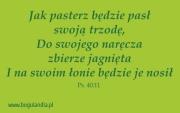 Magnes 45 na lodówkę - Jak pasterz będzie pasł... Wydawca: Bogulandia. Dadada.pl Opakowanie Magnes 45 na lodówkę - Jak pasterz będzie pasł..