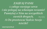 Magnes 48 na lodówkę - zaufaj Panu z całego.... Wydawca: Bogulandia. Dadada.pl Opakowanie Magnes 48 na lodówkę - zaufaj Panu z całego...