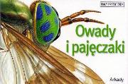 Mały przewodnik - Owady i pajęczaki ARKADY. Autor: Tait Noel. Dadada.pl Okładka książki Mały przewodnik - Owady i pajęczaki ARKADY