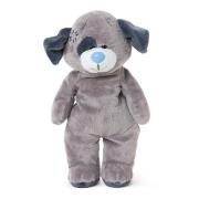 Opakowanie Niebieski nosek - piesek Patch 24 cm