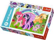 Opakowanie Puzzle 60 Tęczowa przyjaźń My little Pony TREFL
