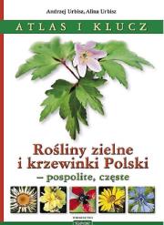 Rośliny zielne i krzewinki Polski. Autor: Urbisz Andrzej, Urbisz Alina. Dadada.pl Okładka książki Rośliny zielne i krzewinki Polski