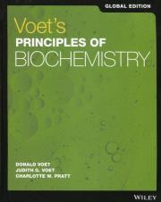 Voet's Principles of Biochemistry. Autor: Voet Donald, Voet Judith G., Pratt Charlotte W.. Dadada.pl Okładka książki Voet's Principles of Biochemistry