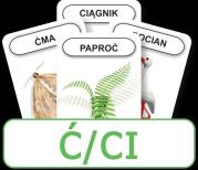 Opakowanie Logopedyczny Piotruś. Część XI - głoska Ć/CI