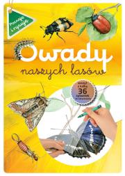 Owady naszych lasów zeszyt w kalką. Autor: Katarzyna Kopiec-Sekieta. Dadada.pl Okładka książki Owady naszych lasów zeszyt w kalką