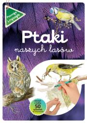 Ptaki naszych lasów zeszyt z kalką. Autor: Katarzyna Kopiec-Sekieta. Dadada.pl Okładka książki Ptaki naszych lasów zeszyt z kalką