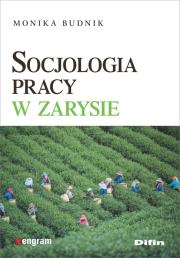 Okładka książki Socjologia pracy w zarysie