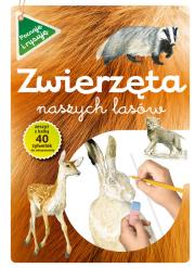 Zwierzęta naszych lasów zeszyt z kalką. Autor: Katarzyna Kopiec-Sekieta. Dadada.pl Okładka książki Zwierzęta naszych lasów zeszyt z kalką