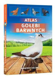 ATLAS GOŁĘBI BARWNYCH. Autor: Uglorz Manfred. Dadada.pl Okładka książki ATLAS GOŁĘBI BARWNYCH