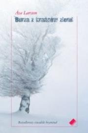 Okładka książki Burza z krańców ziemi