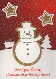 Opakowanie Karnet Boże Narodzenie 3D B6 3D-BNB 172304