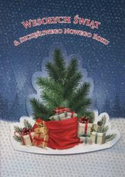 Opakowanie Karnet Boże Narodzenie 3D B6 3D-BNB 172305