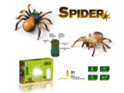 Opakowanie Pająk na radio