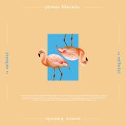 Opakowanie Proste historie o miłości