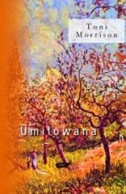 Umiłowana. Autor: Gutorow Jacek. Dadada.pl Okładka książki Umiłowana