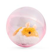 Opakowanie Biegający chomik