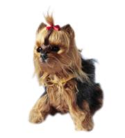 Opakowanie Interaktywny piesek - York