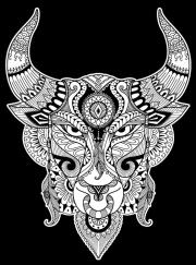 Opakowanie Kolorowanka Welwetowa 47x35 Byk