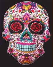 Opakowanie Kolorowanka Welwetowa 47x35 Czacha