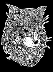 Opakowanie Kolorowanka Welwetowa 47x35 Kot Fantazja