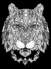 Opakowanie Kolorowanka Welwetowa 47x35 Lwica