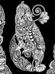 Opakowanie Kolorowanka Welwetowa 47x35 Papuga