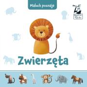 MALUCH POZNAJE ZWIERZĘTA. Autor: Anna Kleszczewska. Dadada.pl Okładka książki MALUCH POZNAJE ZWIERZĘTA