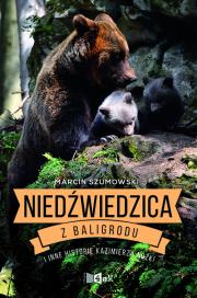 Niedźwiedzica z Baligrodu i inne historie K. Nóżki. Autor: Marcin Szumowski. Dadada.pl Okładka książki Niedźwiedzica z Baligrodu i inne historie K. Nóżki