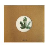 Opakowanie Notes B5/80K eko Klon