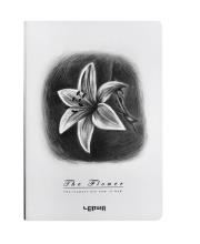 Opakowanie Notes B6/96K Lilia