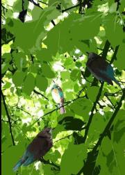 Opakowanie Notes Gee The Light B5 gładki NARCISSUS