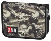 Opakowanie Piórnik dwuklapkowy bez wyposażenia Dinozaury