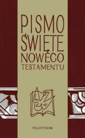 Pismo Świete - NT z ilustracjami. Autor:   Praca zbiorowa. Dadada.pl Okładka książki Pismo Świete - NT z ilustracjami
