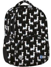 Opakowanie Plecak 4-komorowy Lamy