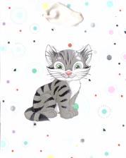 Opakowanie Torebka całoroczna TCD-0 AVANTI