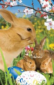 Wielkanocne króliczki minikartka 3D. Wydawca: Worth Keeping. Dadada.pl Opakowanie Wielkanocne króliczki minikartka 3D