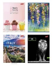 Zeszyt A4 96k linia jednoskładkowy (laminowany, mix). Wydawca: ST.MAJEWSKI. Dadada.pl Opakowanie Zeszyt A4 96k linia jednoskładkowy (laminowany, mix)