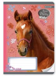 Opakowanie Zeszyt A5 w trzy linie kolorowe 16 kartek Nice and pretty 10 sztuk