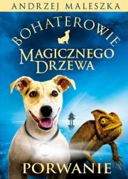 Bohaterowie Magicznego Drzewa. Porwanie. Autor: Andrzej Maleszka. Dadada.pl Okładka książki Bohaterowie Magicznego Drzewa. Porwanie