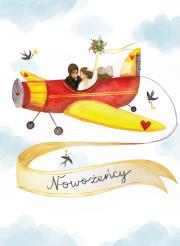 Opakowanie Karnet B6 Ślub - Samolot