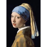 Opakowanie Karnet B6 z kopertą Girl with a Pearl Earring