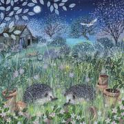 Opakowanie Karnet kwadrat z kopertą Hedgehogs