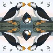 Opakowanie Karnet kwadrat z kopertą Horned Puffin