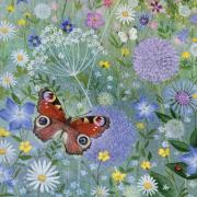 Opakowanie Karnet kwadrat z kopertą Peacock Butterfly