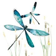 Opakowanie Karnet Swarovski kwadrat CL1232 Ważki