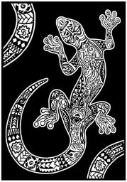 Opakowanie Kolorowanka Welwetowa 29,7x21 Gekon