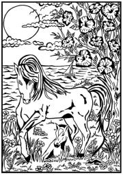 Opakowanie Kolorowanka Welwetowa 29,7x21 Konie